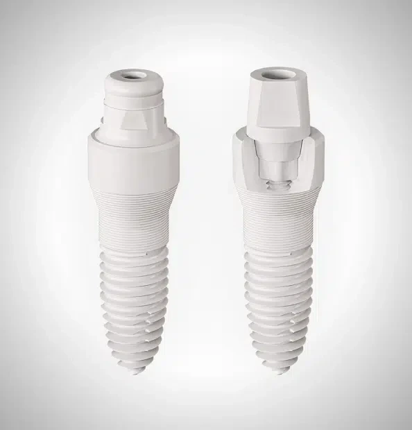 SDS Swiss Dental Solutions ceramic implants